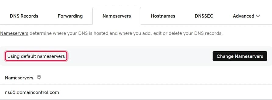 GoDaddy Nameservers tab saying Using default nameservers